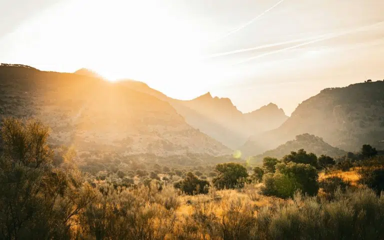 Sur la route de Andalousie - Espagne | Sur mesure