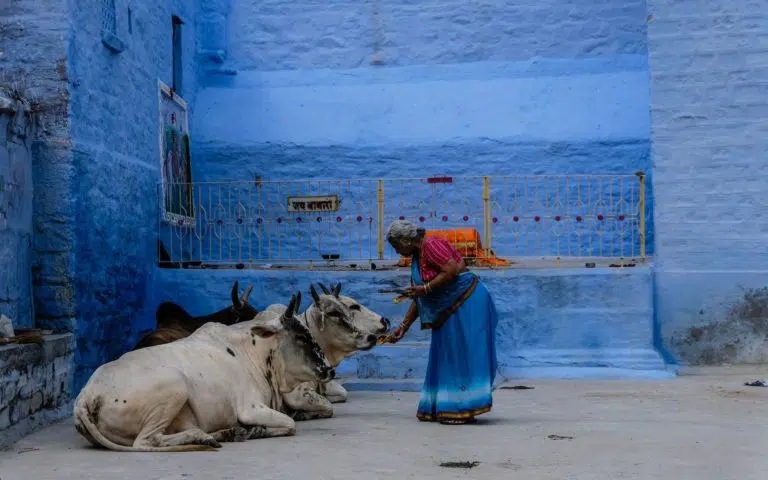 L’Inde spirituelle du Rajasthan au Gange - Inde | Sur mesure