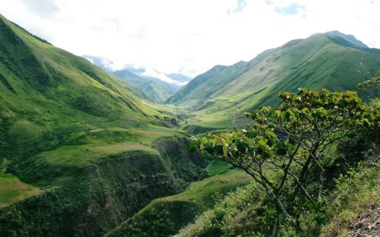 Entre Andes et Amazonie - Équateur | Sur mesure