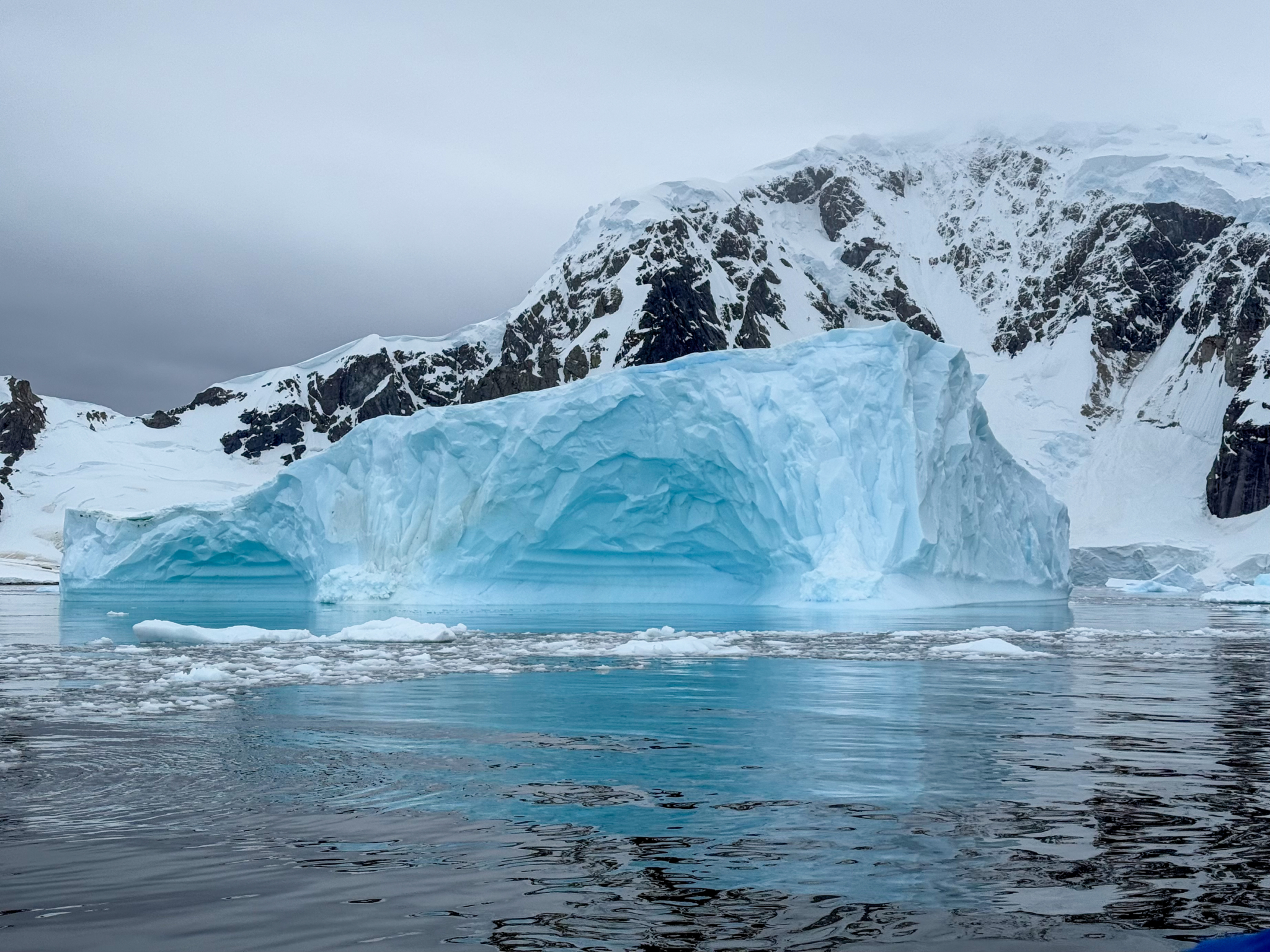 Glacier Antarctique
