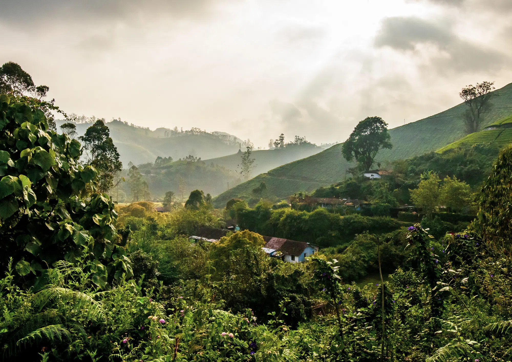 Cure Ayurvédique : un voyage à la frontière du soin et du sacré