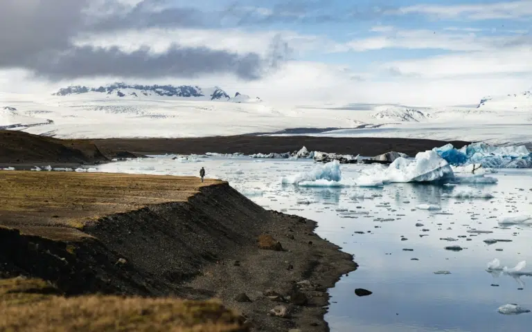 Terre de feu et de glace par la mer : croisière Islande - Islande | Sur mesure