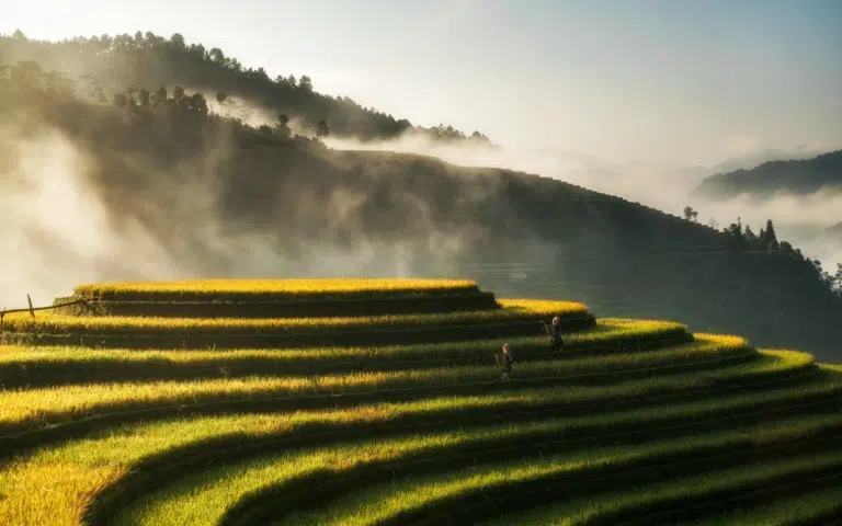 Vietnam du Nord actif : îlots, rizières et peuples - Vietnam | Sur mesure